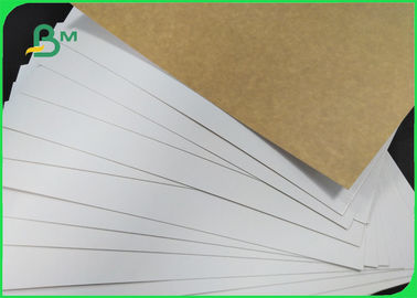 365gsm White Coated Paper Unbleached Kraft Back Material For Food Trays