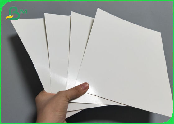 Food Grade White PE Coated Paperboard 210gsm 315gsm Gloss Surface