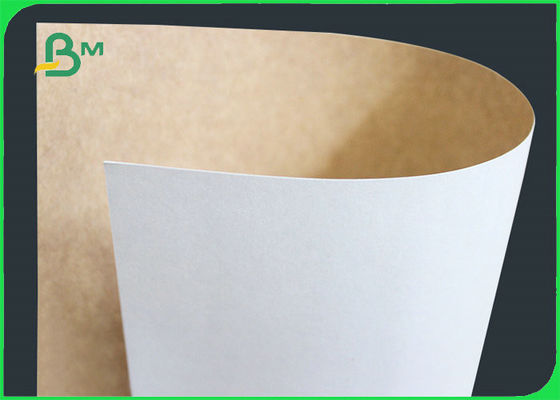 250gsm CKB White Coated Kraft Back Board For Food Packaging Hard Stiffness