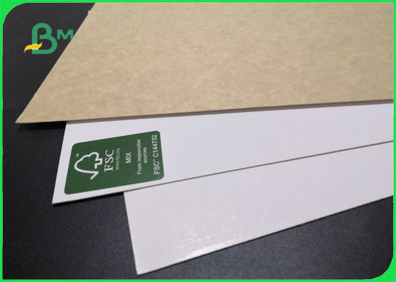 250gsm CKB White Coated Kraft Back Board For Food Packaging Hard Stiffness