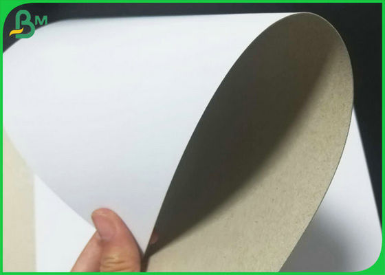 Grey Back Coated Duplex Paperboard Recycled Printing Paper For Package