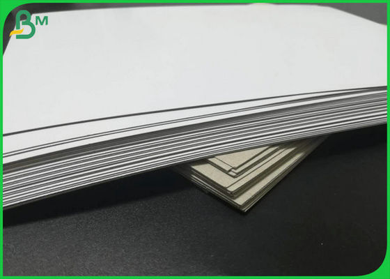 Grey Back Coated Duplex Paperboard Recycled Printing Paper For Package