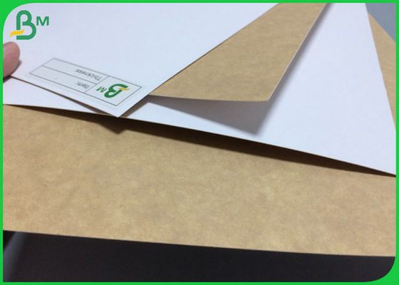 High Resistance Freezing White Back Kraft Paper 325g 365g Of 31 Inch 35 Inch