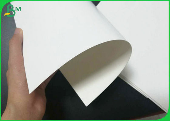 250gr 400gr White Foldcote Paper Board FDA Certified For Packaging Cake