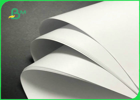 Low Weight 55gsm - 80gsm White Woodfree Paper / Offset Printing Paper