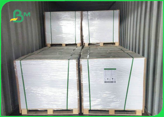 Low Weight 55gsm - 80gsm White Woodfree Paper / Offset Printing Paper