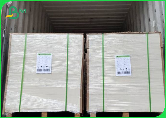 Virgin Pulp Material Ivory Coated FBB Board 215gsm - 325gsm 500mm * 1000mm