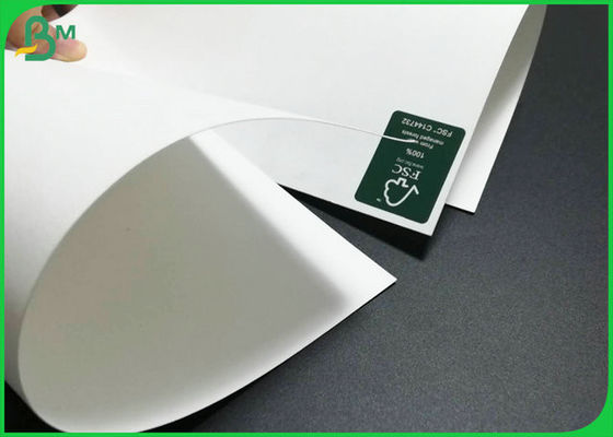 300gsm C1S Ivory Bristol Board Good Stiffness FDA Approved For Making Tray