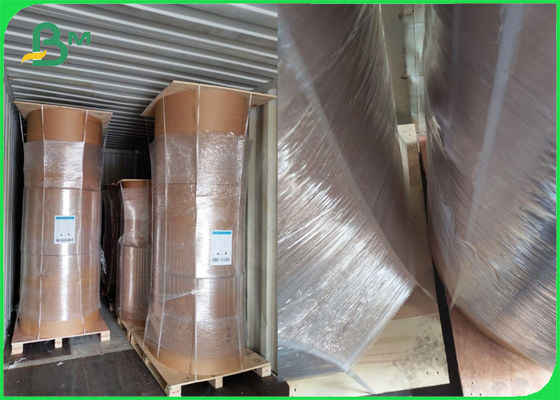 Roll Brown Kraft Paper PE Coated Single Side 80gsm
