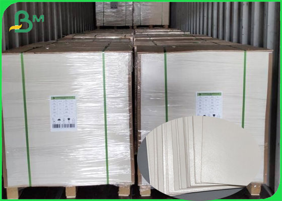 Food Grade Raw Material Single PE Coated Paper For Paper Cups Light Membrane