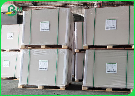 Copy & Printer Paper Colorful Paper 70gsm 80gsm Large Sheet Multiuse