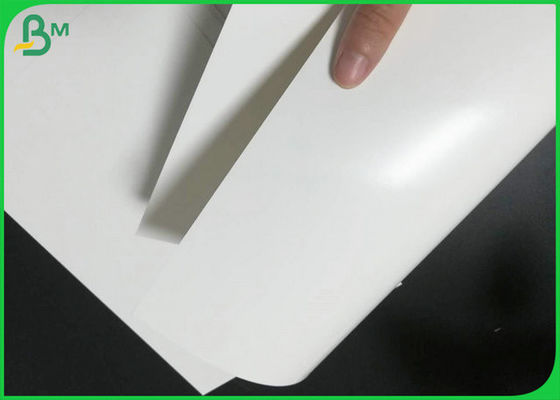 Single Side Coated White Board Food Grade 300gr &amp; 15gr PE Making To - Go Box