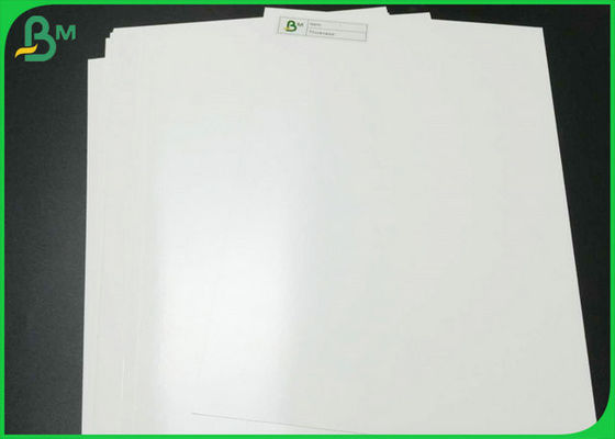 Single Side Coated White Board Food Grade 300gr &amp; 15gr PE Making To - Go Box