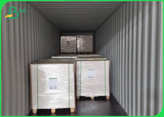 Virgin Pulp Coated FBB Ivory Board 305g / 345g Offset Printing