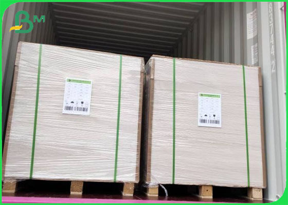 Virgin Pulp Coated FBB Ivory Board 305g / 345g Offset Printing