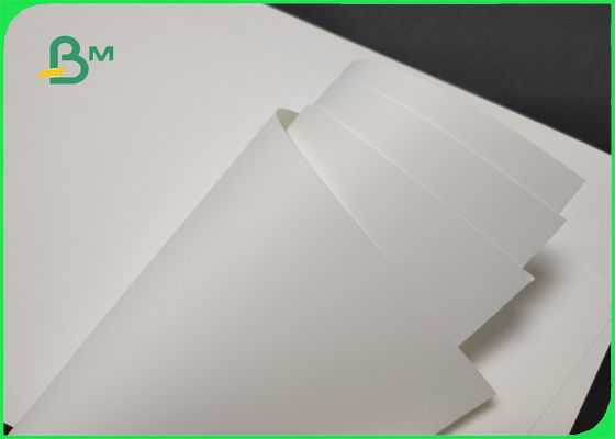 Anti Tear 180um 200um Printed Synthetic Paper For Adhesive Lable Waterproof