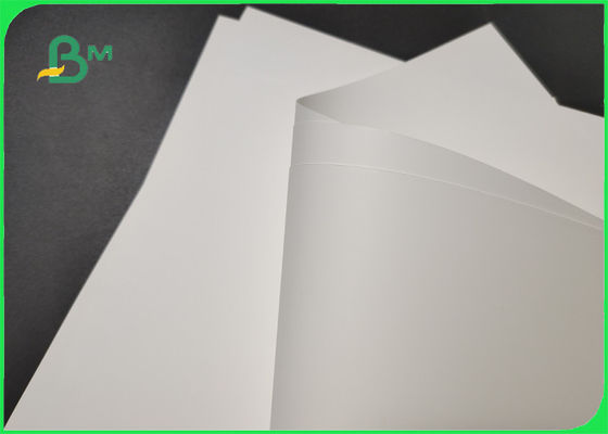 Offset Printing 787mm 80um White PP Synthetic Paper For Artware Tear Resistance