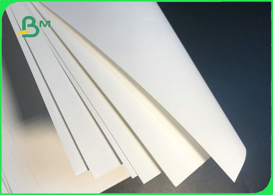 PET &amp; PP Synthetic Paper 100um 200um 250um Water Resistant For Labels Printing