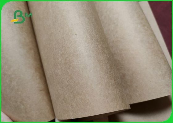 200gsm Food Grade Virgin Kraft Paper Rolls For Lunch Container