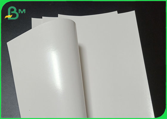 Waterproof Single Side PE Coating White Paperboard For Fried Food Packing