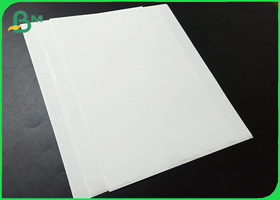 Natural White 250um Stone Paper Roll For Advertising Printing