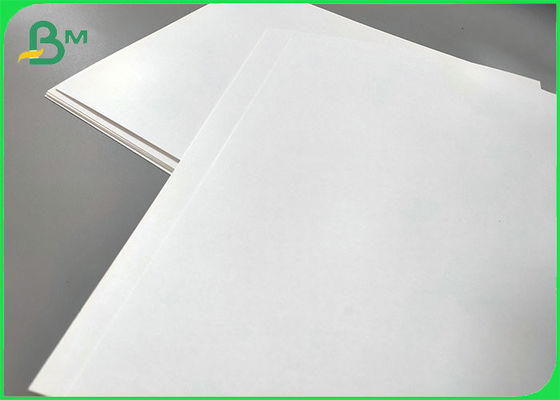 Food Grade 250gsm 300gsm White Top Kraft Back Paper Printable Food Packaging