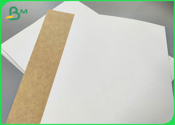 Food Grade 250gsm 300gsm White Top Kraft Back Paper Printable Food Packaging