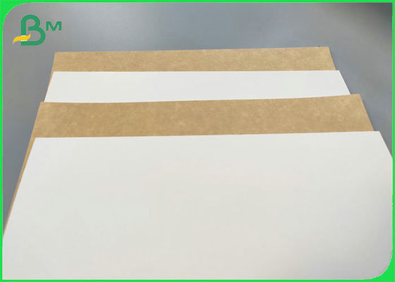 Food Grade 250gsm 300gsm White Top Kraft Back Paper Printable Food Packaging