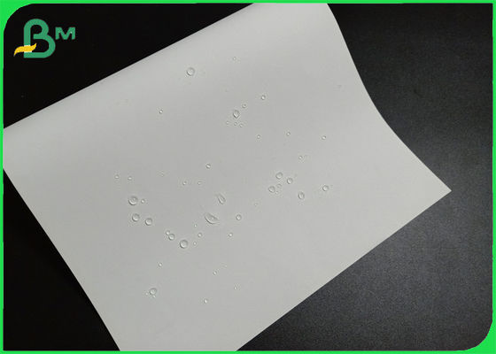 Durable Waterproof White Stone Paper Sheets For Magazine Or Poster