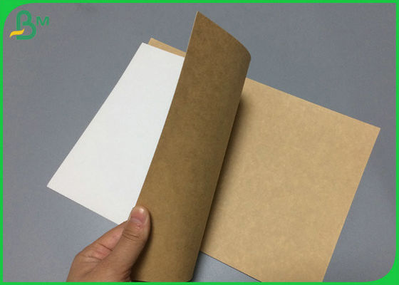 200gram to 365gram 1 side White Kraft Liner coated Board 31inch 35inch