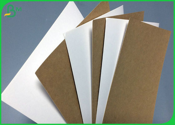 200gram to 365gram 1 side White Kraft Liner coated Board 31inch 35inch