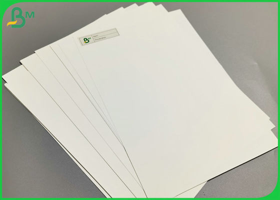 Waterproof 300um 350um Thick PP Coated matte white Polypropylene synthetic paper