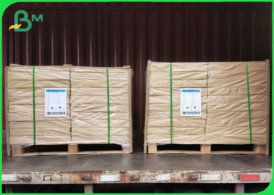 Uncoated Water Absorption Paper 225g 275g For Offset Printing