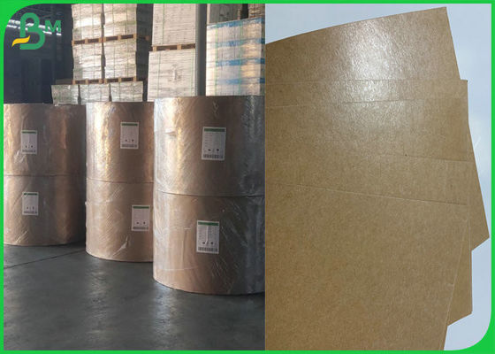 Oilproof 250g + 10g PE Coated Food Grade Brown Kraft Paper In Roll