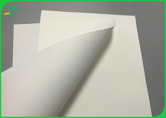 PP PET 100um 200um Synthetic Paper For Medical label Waterproof