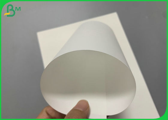 PP PET 100um 200um Synthetic Paper For Medical label Waterproof