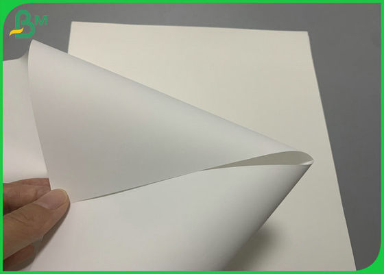 PP PET 100um 200um Synthetic Paper For Medical label Waterproof