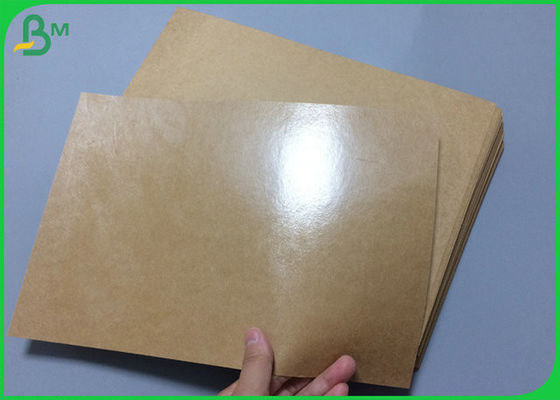 320gsm 350gsm Foodgrade Kraft Paper PE Laminated Of Degradable Material