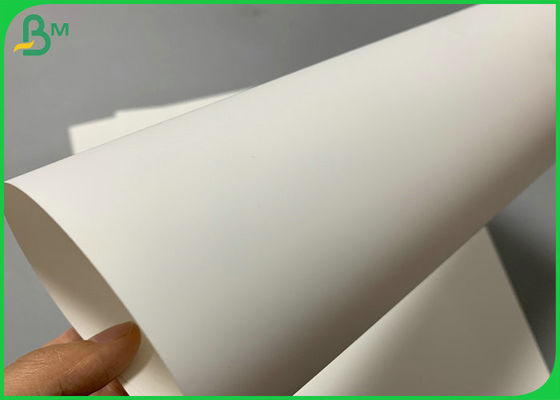 80um 100um Printed Waterproof Synthetic Paper Roll For QR Code Label 700 x 1000mm