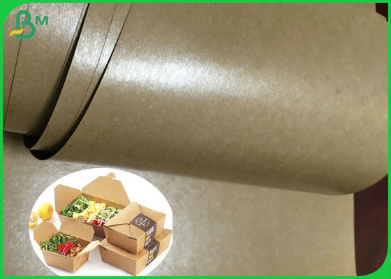 Kraft Paper With 15g PE Coated Oil Resistant 787 mm x 1092mm Sheets