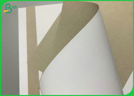 Smooth White 300g Duplex Board  Grey Back For Beverage Packaging