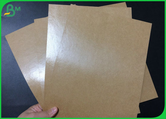 Food Grade Poly Coated Kraft Paper Roll 300gsm 350gsm To Food Tray Making