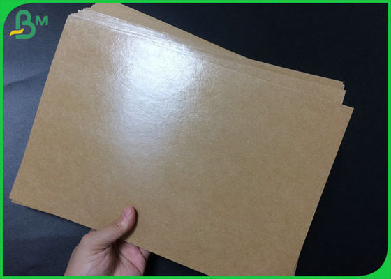 Food Grade Poly Coated Kraft Paper Roll 300gsm 350gsm To Food Tray Making