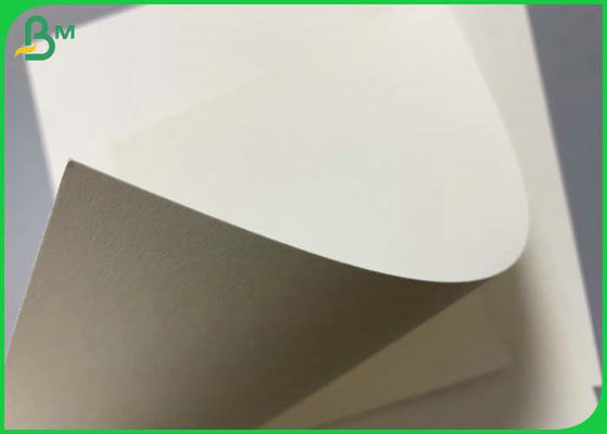 190g 210g White Cupstock Paper For Disposable Cups With PE Coated Waterproof