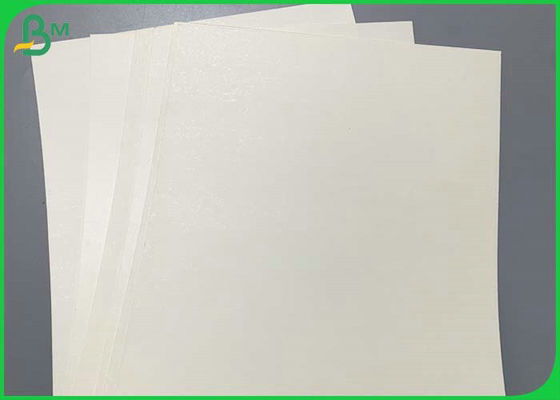 210g Printable  White Raw Material Roll For Paper Cup With PE Coated