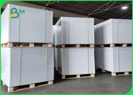 Durable Liquid Barrier Poly Coated White Cupstock Paperboard White color