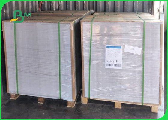 Durable Liquid Barrier Poly Coated White Cupstock Paperboard White color