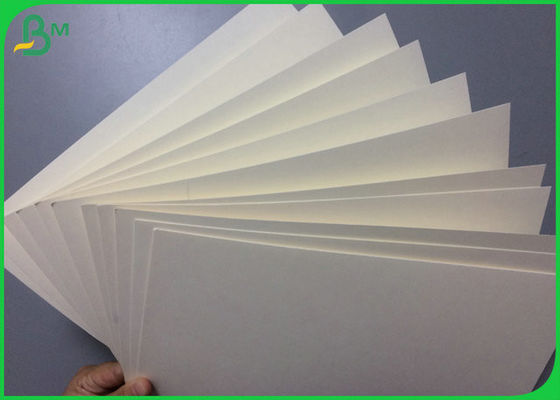 150gsm to 350gsm Cup base Paper Roll Food Grade Quality 30mm 40mm Width