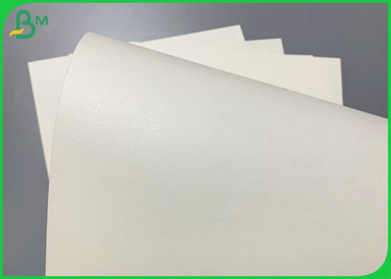 210g CupStock Base Paper Food Grade PE Coated 70cm x 100cm