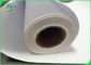 Graph Paper Roll 20lb 24&quot; X 300&quot; Size 2&quot; Plotting Paper Roll 3 Rolls carton